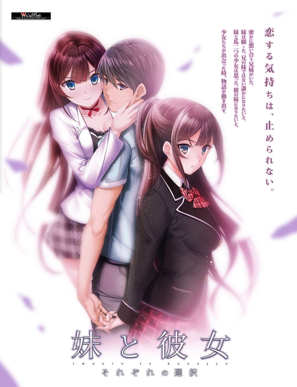 main (5)_已压缩.jpg